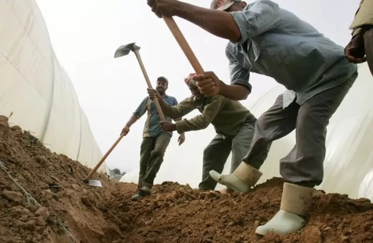 صورة حول : تسفير أكثر من 5 آلاف عامل مخالف خلال 9 أشهر تسفير أكثر من 5 آلاف عامل مخالف خلال 9 أشهر