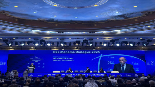 الصفدي: حل الدولتين السبيل الوحيد للسلام العادل