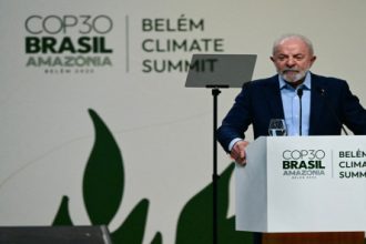 الرئيس البرازيلي يطلق صندوقا لحماية الغابات