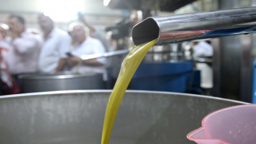 صورة حول : بدء استقبال طلبات استيراد زيت الزيتون اليوم بدء استقبال طلبات استيراد زيت الزيتون اليوم