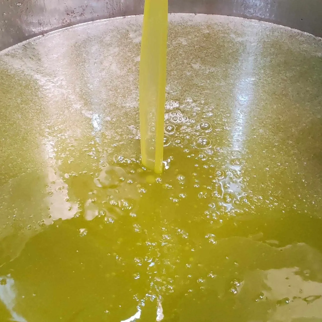 تنكة الزيت المصري بـ70 ديناراً.. والزراعة تفتح باب الاستيراد لتخفيف الأسعار