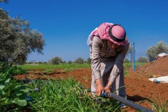 وادي الأردن بين خسائر المزارعين وارتفاع الحرارة: القطاع الزراعي يواجه الانهيار