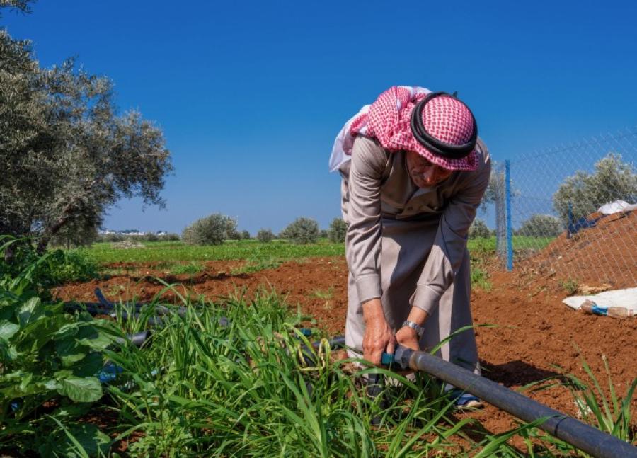 صورة حول : وادي الأردن بين خسائر المزارعين وارتفاع الحرارة: القطاع الزراعي يواجه الانهيار وادي الأردن بين خسائر المزارعين وارتفاع الحرارة: القطاع الزراعي يواجه الانهيار