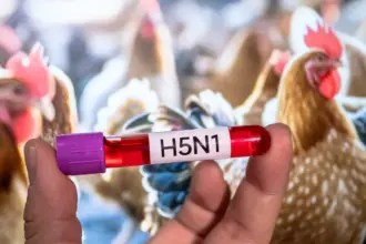 واشنطن تسجل أول إصابة بشرية بسلالة جديدة من إنفلونزا الطيور 