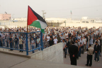 أرقام صادمة لضحايا التعليم الفلسطيني