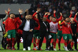 الأسود يواجهون مالي الجمعة في اختبار حقيقي لكأس الأمم الإفريقية