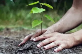 وزير الشباب يشارك في حملة تشجير بـالمفرق ضمن برنامج «التطوع الأخضر»