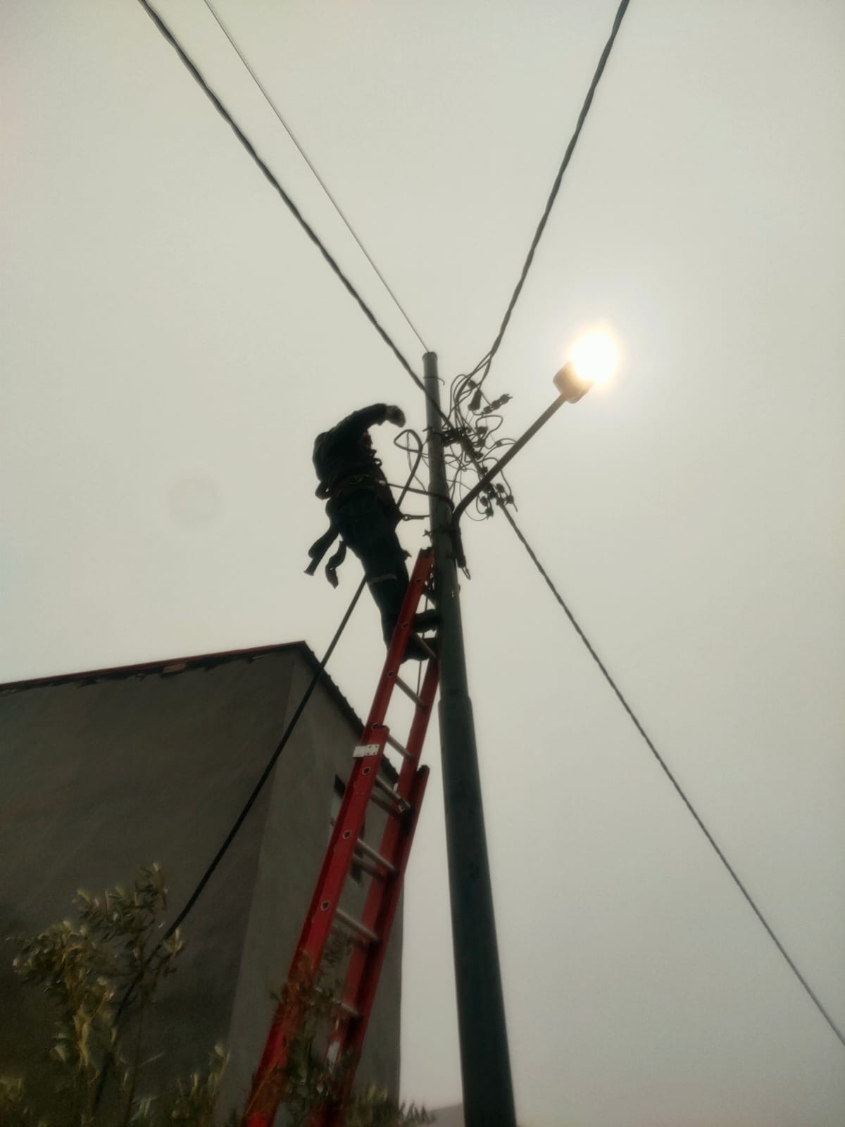 شركة توزيع الكهرباء تعالج تداعيات الأمطار بزمن قياسي .. فيديو وصور