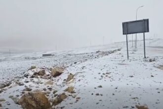 الطفيلة تشهد هطولات ثلجية وانخفاض كبير بالحرارة