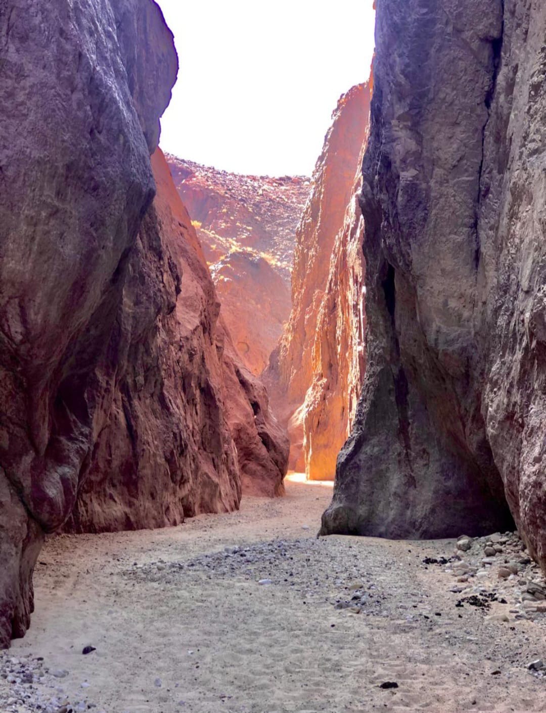 متقاعد بالبادية يضع منطقته على خارطة السياحة... ما التفاصيل؟