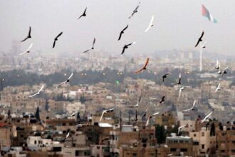 الطقس :استقرار نسبي على الأجواء واحتمال أمطار خفيفة شمال المملكة