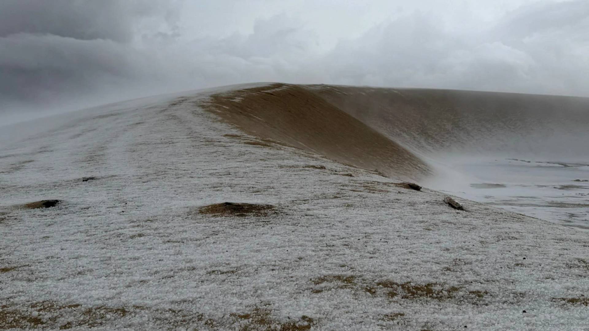 صورة حول : صقيع نادر يغطي صحراء الدوحة ويحوّل الرمال إلى منظر شتوي استثنائي صقيع نادر يغطي صحراء الدوحة ويحوّل الرمال إلى منظر شتوي استثنائي