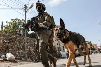 عشرات الجنود الإسرائيليين يتلقون علاجاً عاجلاً بعد إصابة كلاب بداء الكلب