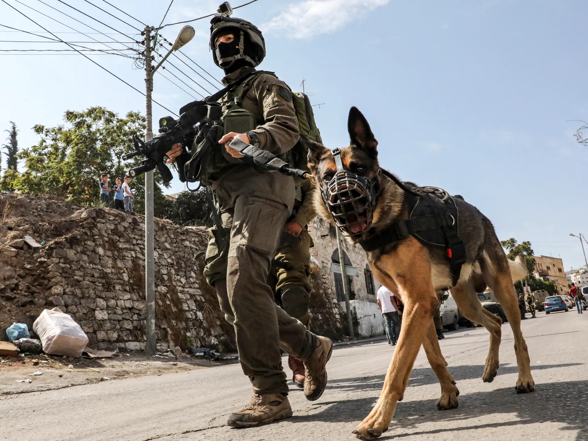 صورة حول : عشرات الجنود الإسرائيليين يتلقون علاجاً عاجلاً بعد إصابة كلاب بداء الكلب عشرات الجنود الإسرائيليين يتلقون علاجاً عاجلاً بعد إصابة كلاب بداء الكلب