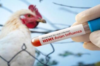 تحذير صحي : "السوبرفلونزا" تهدد المستشفيات والمدارس في بريطانيا