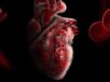 هل كشف علماء ستانفورد سبب التهاب القلب النادر ؟