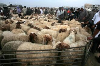 وفاة مواطن بسوق الحلال في مأدبا بسبب الزحام !