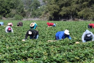 الزراعة تبدأ بحصر أضرار المنخفض الجوي في المحافظات الجنوبية