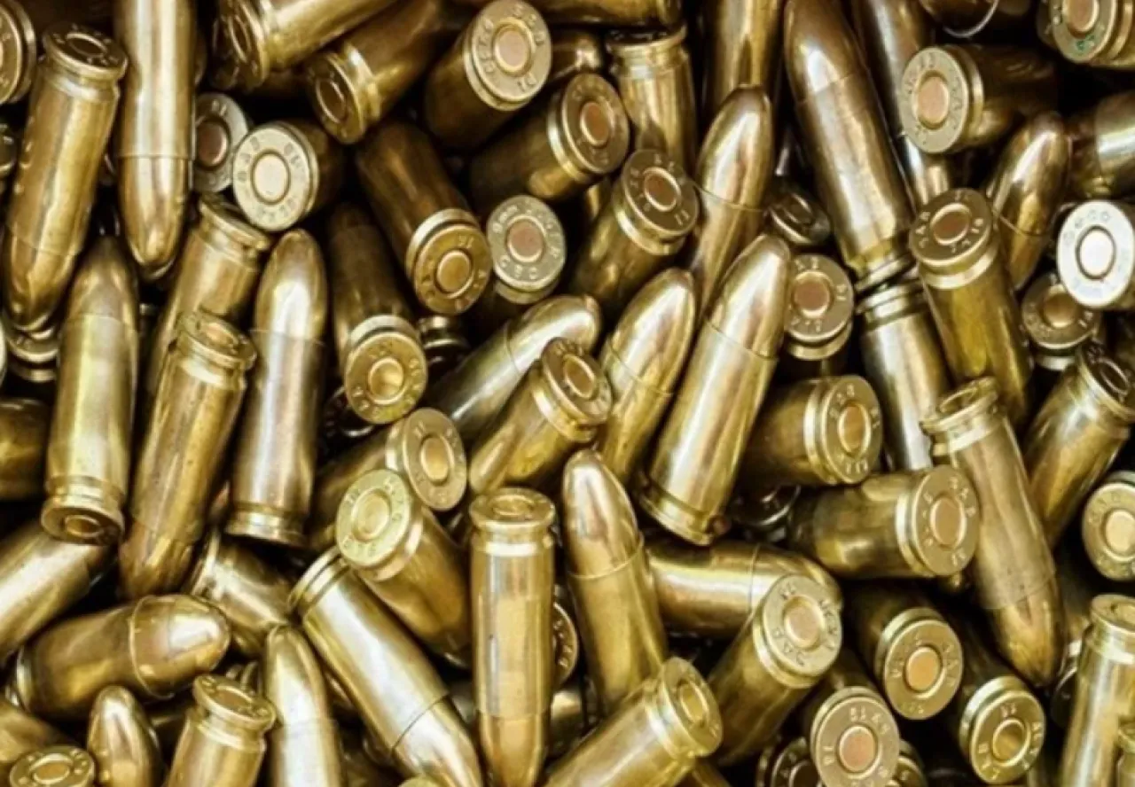 سرقة 20 ألف طلقة ذخيرة من شاحنة الجيش الألماني