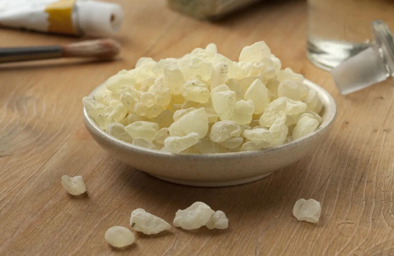 ماذا سيحدث لو ابتلعت علكة المستكة ؟