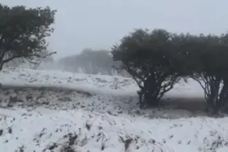 عاجل | ثلوج وأمطار غزيرة في معان تُحدث اضطرابات مرورية