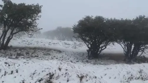 عاجل | ثلوج وأمطار غزيرة في معان تُحدث اضطرابات مرورية