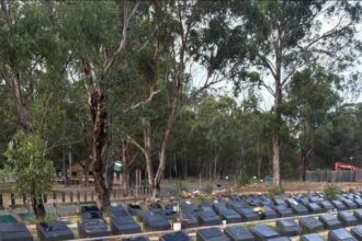 تدنيس مقبرة إسلامية في سيدني برؤوس خنازير