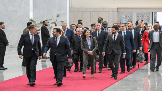 وفد مجلس الأمن يزور دمشق لتأكيد التضامن الدولي مع سوريا