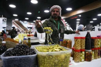 مبيعات قياسية وزوار بالملايين في مهرجان الزيتون الأردني