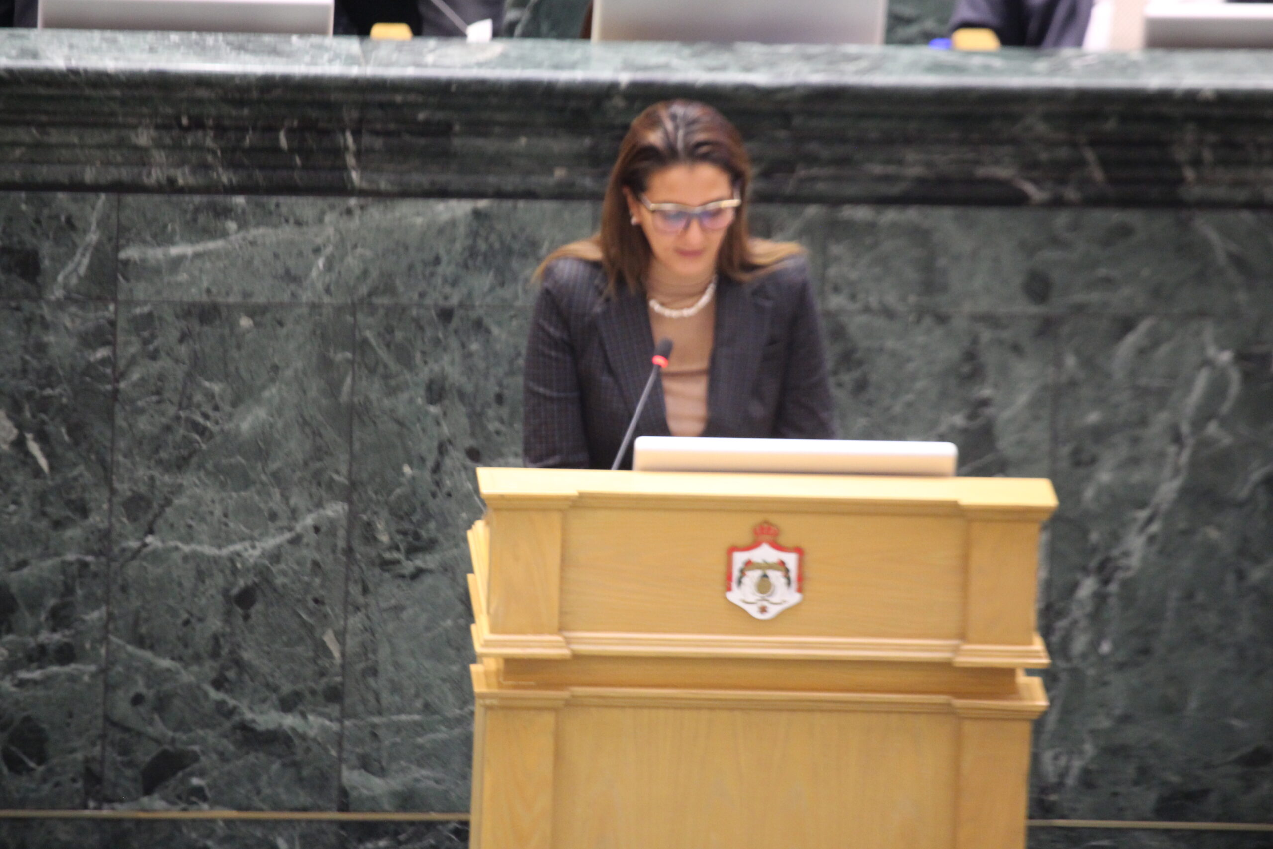 صورة حول : البشير: الموازنة لا تعكس طموحات الأردنيين البشير: الموازنة لا تعكس طموحات الأردنيين