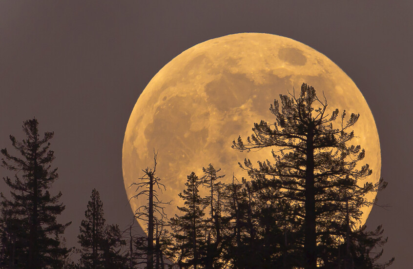 القمر العملاق يضيء سماء المملكة غدًا الجمعة