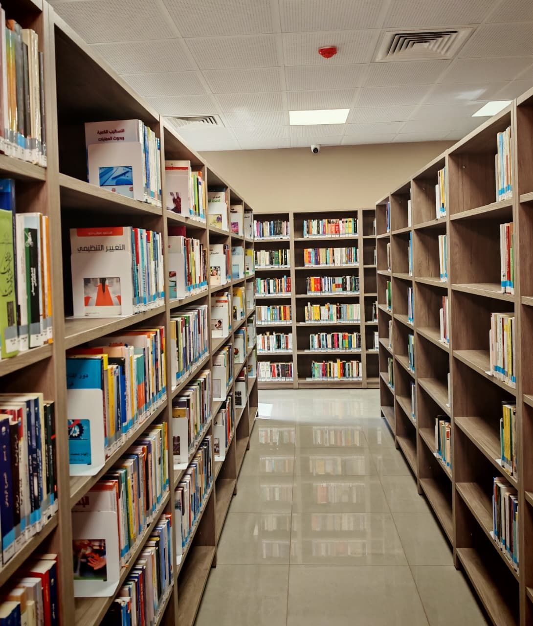 مكتبة شومان معان منارة ثقافية ومعرفية جنوبية