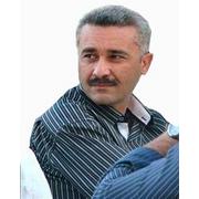 صورة حول : العفو العام ومخالفات السير.. والعام الجديد العفو العام ومخالفات السير.. والعام الجديد