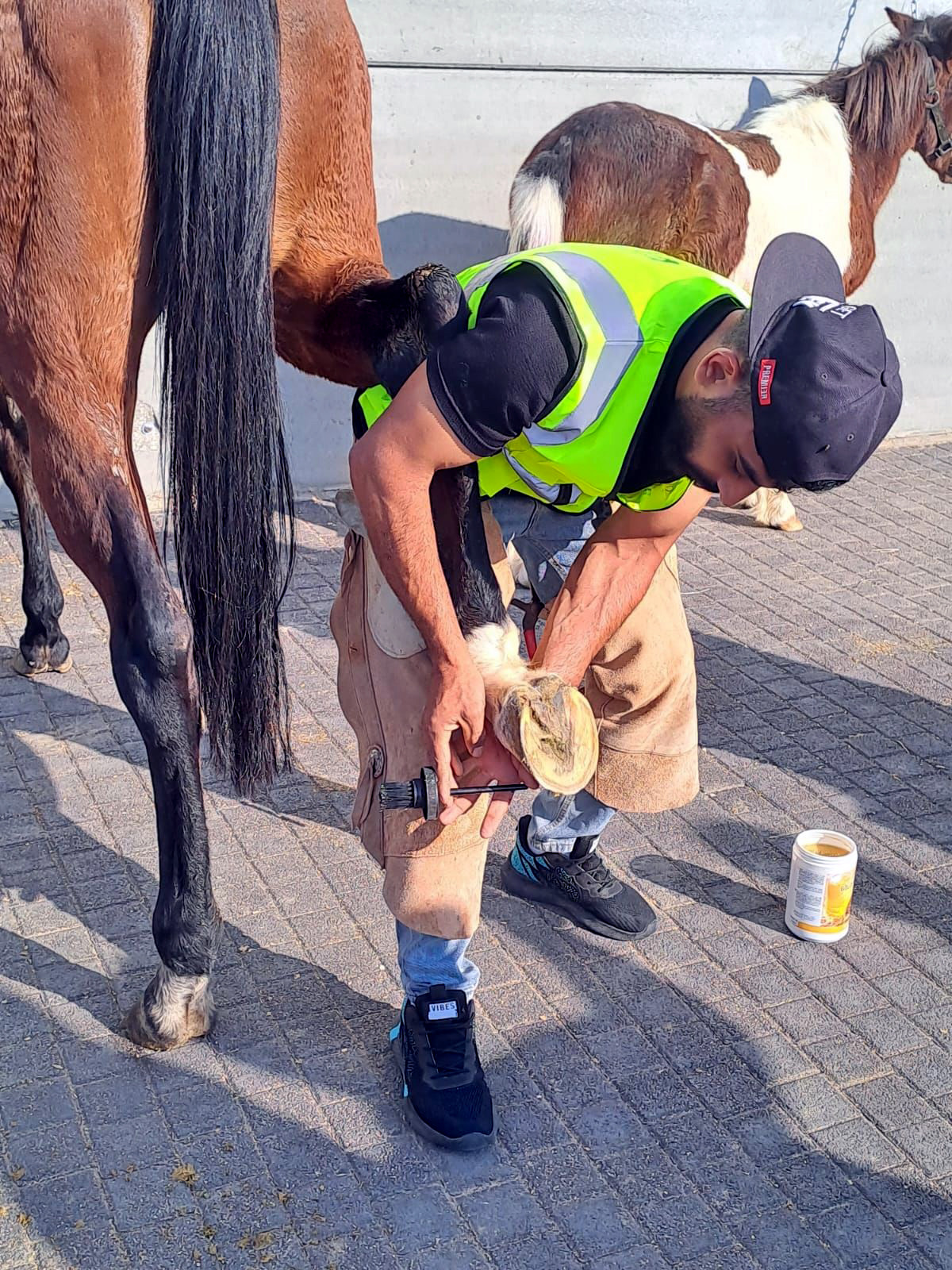 صورة حول : اختتام برنامج تدريبي متخصص في فن التعامل مع الخيول والحذو في العقبة اختتام برنامج تدريبي متخصص في فن التعامل مع الخيول والحذو في العقبة