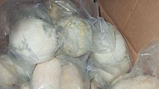 إغلاق مستودع جميد غير مرخص وضبط 25 طناً من المنتج الفاسد في عمان