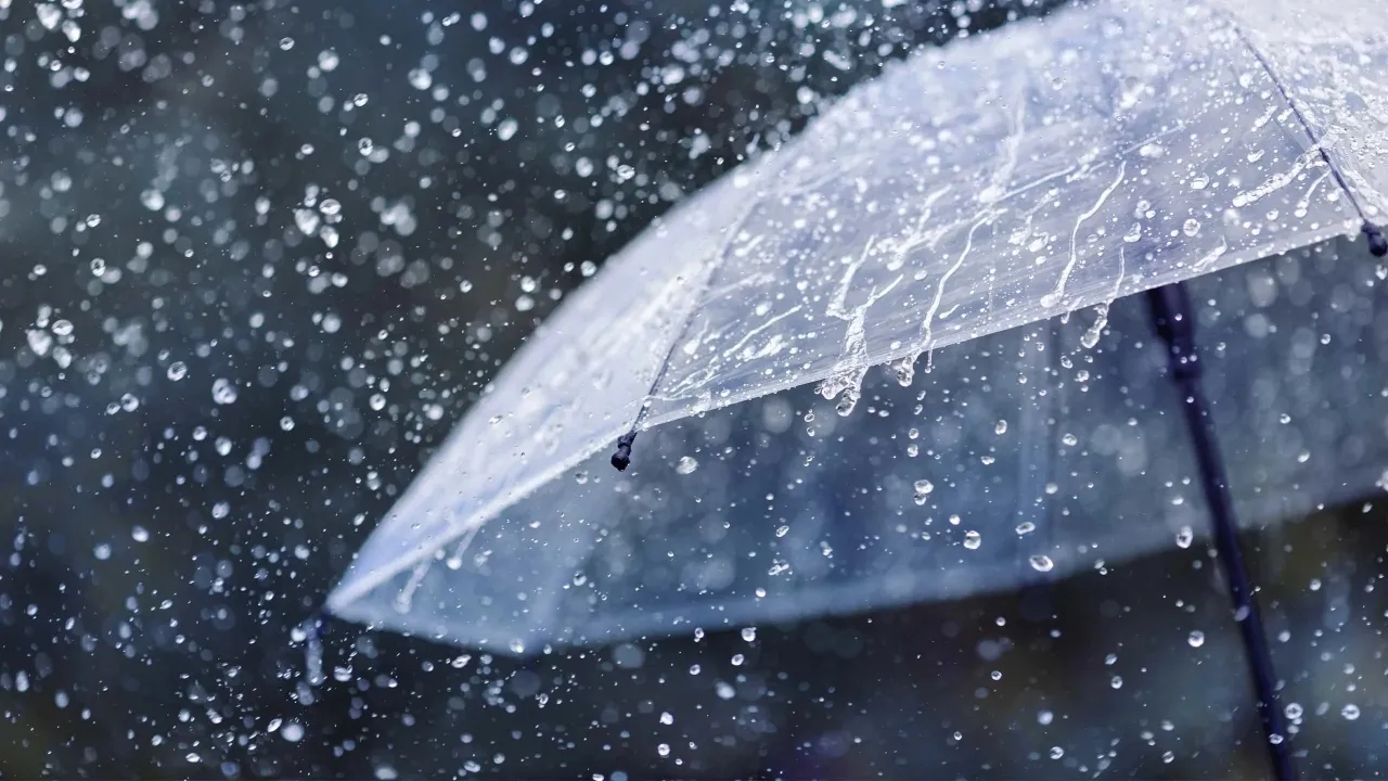 تأخير دوام مدارس الطفيلة الخميس بسبب الأحوال الجوية