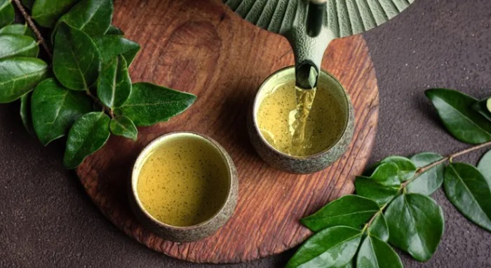 الشاي الأخضر في الشتاء: مشروب صحي يقوي المناعة ويحافظ على الطاقة