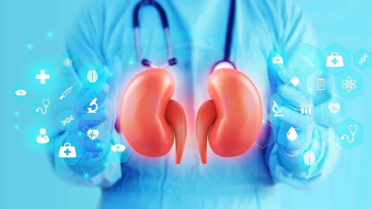 مرض الكلى: الكشف المبكر أساس الوقاية والحفاظ على الصحة
