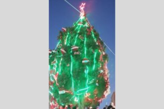 ماعين تحتفل بإضاءة شجرة عيد الميلاد بمشاركة جميع أطياف المجتمع