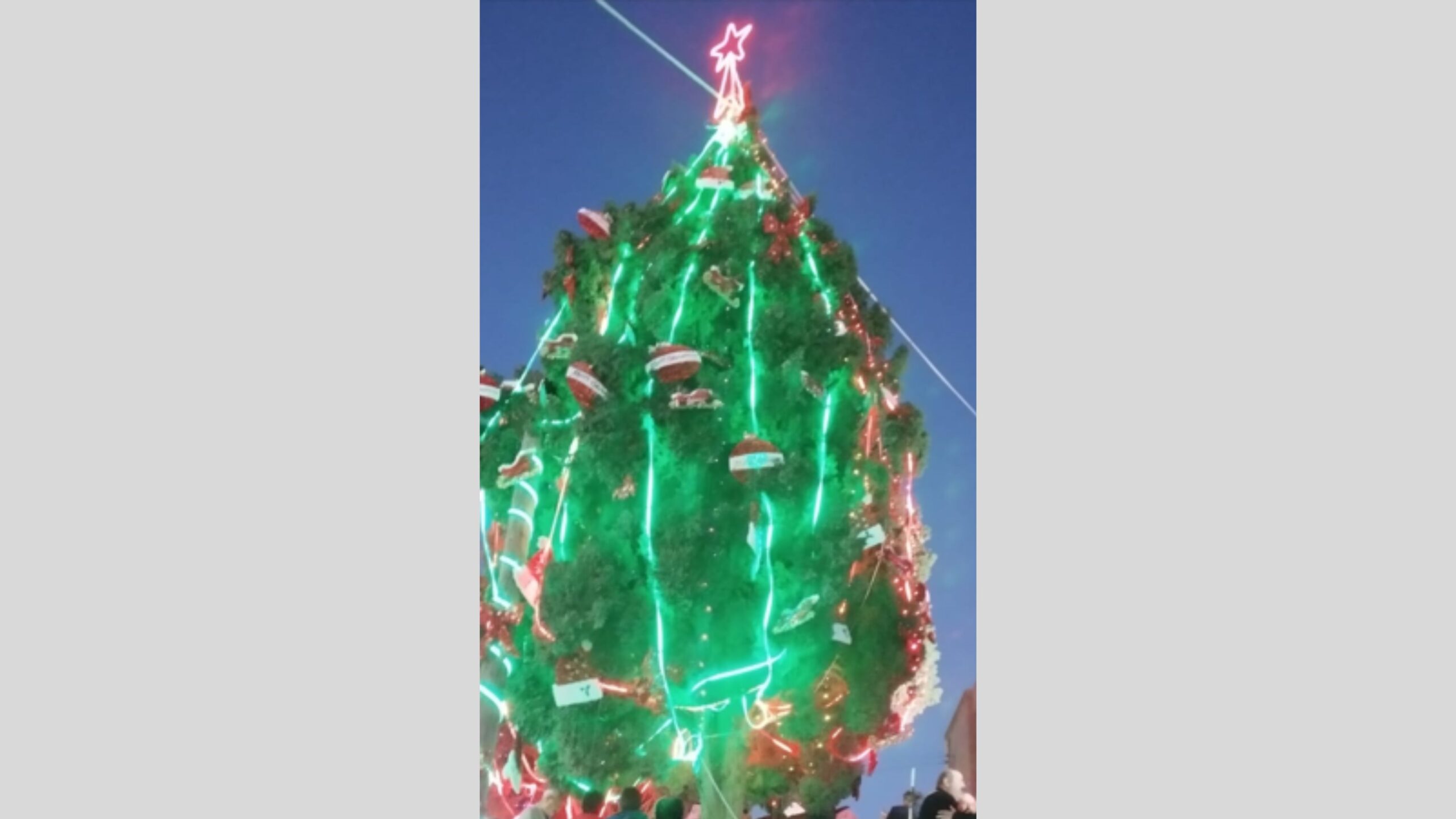 ماعين تحتفل بإضاءة شجرة عيد الميلاد بمشاركة جميع أطياف المجتمع