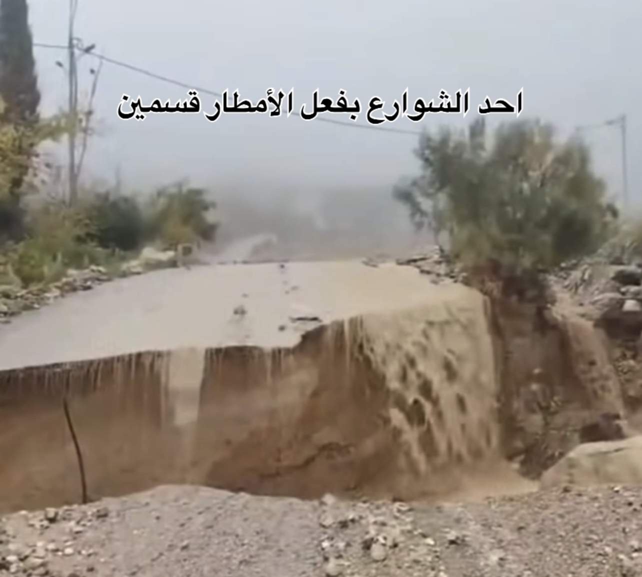 المجالي: الكرك محافظة منكوبة وسيولها تكشف التهميش الرسمي