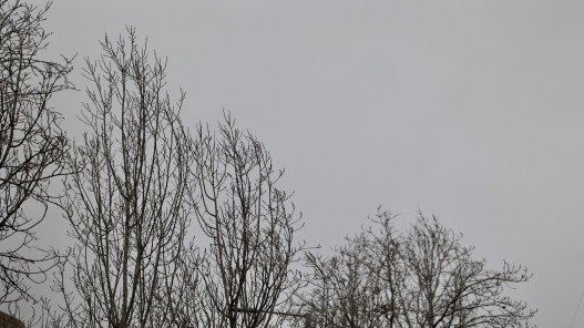 الأرصاد تحذر من استمرار الأمطار الغزيرة وانخفاض درجات الحرارة في مختلف مناطق المملكة