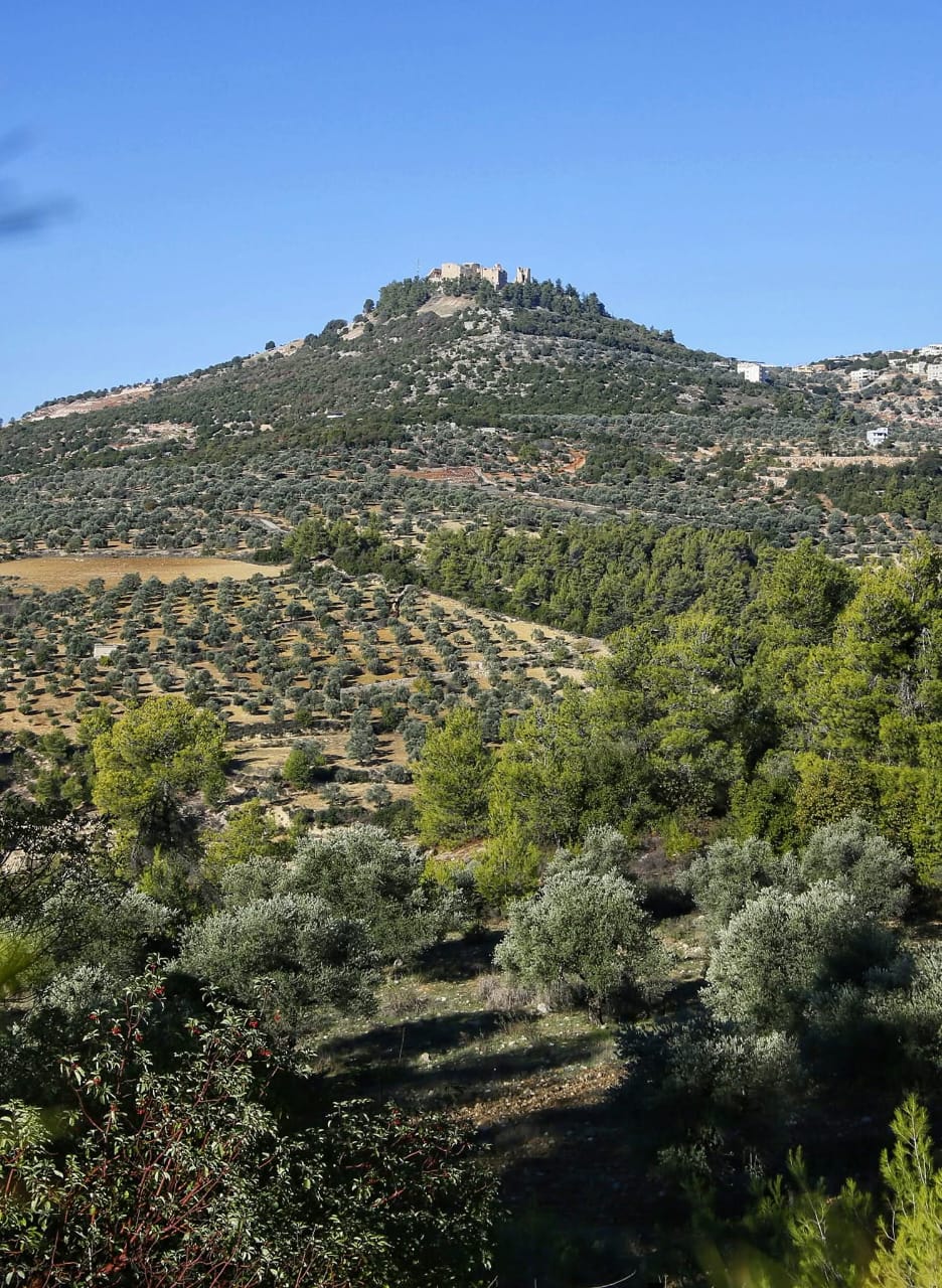 عجلون تحتفي بالموروث الثقافي والتراث الشعبي من خلال يوم تراثي شعبي