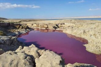 غور الصافي تحقق موسمها المطري بنسبة 100%