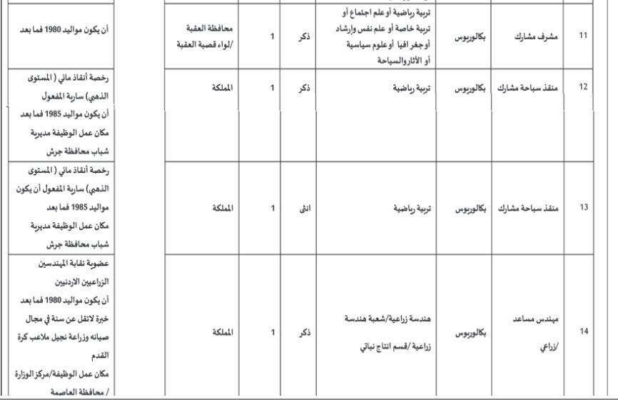وزارة الشباب تعلن توفر وظائف شاغرة 