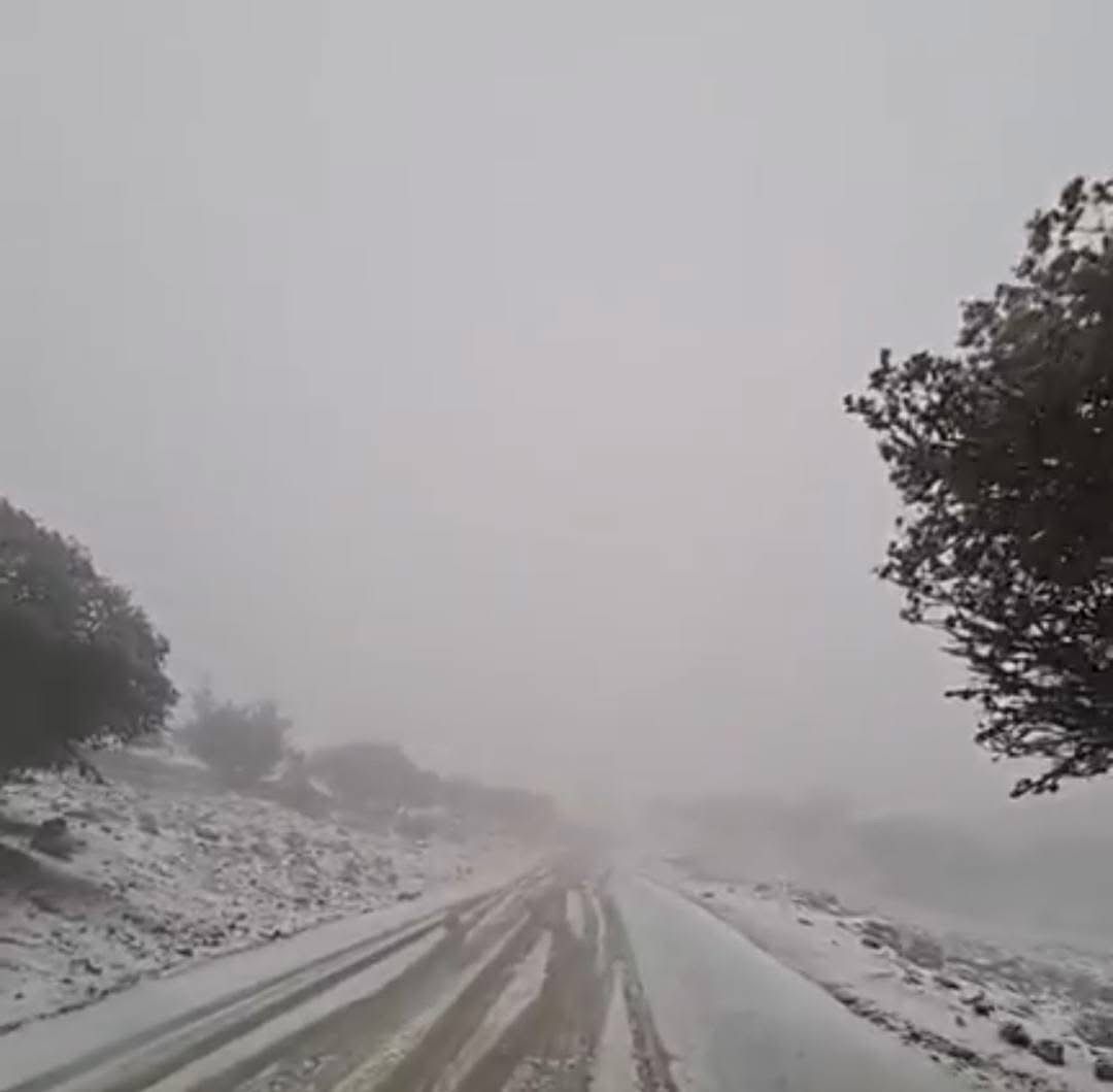 ثلوج الموسم الأول تغطي مرتفعات الشوبك اليوم "صور"