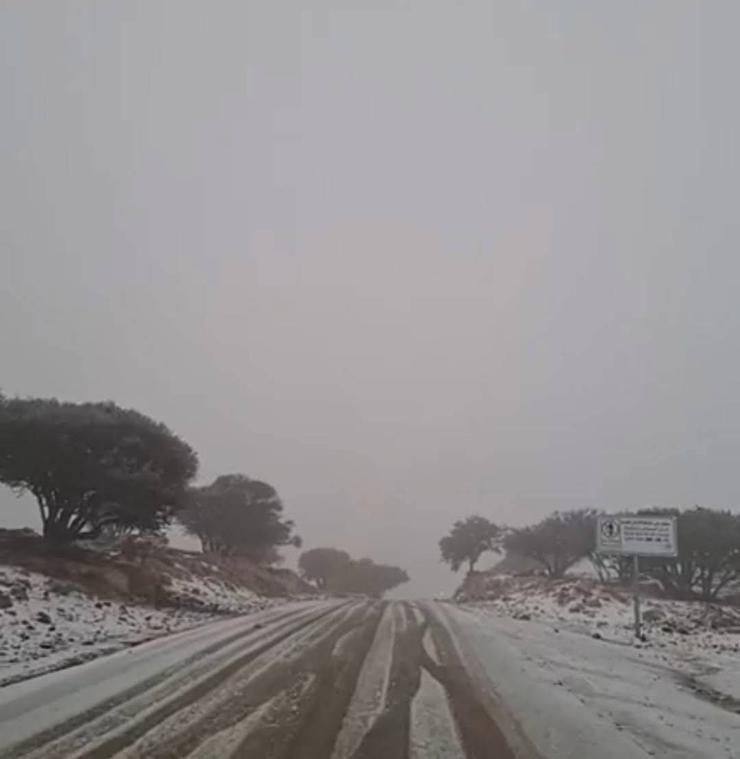 ثلوج الموسم الأول تغطي مرتفعات الشوبك اليوم "صور"