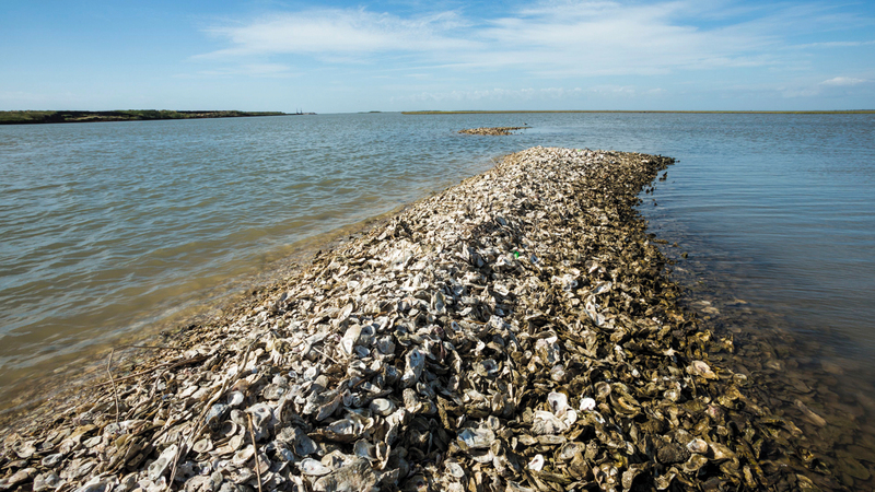 تحطم طائرة بحرية مكسيكية يخلف خمسة قتلى