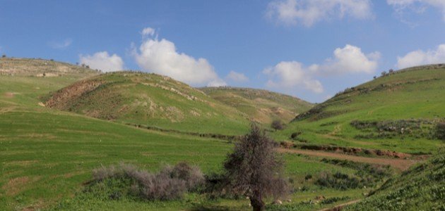 الكورة تبدأ حملة زراعة 30 ألف شجرة خلال العام الحالي