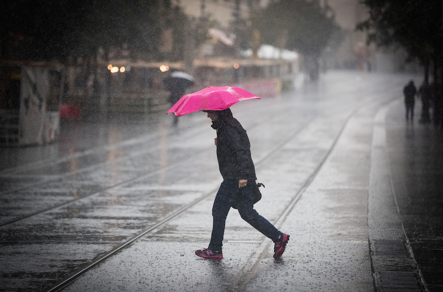 طقس بارد وتحذيرات من الضباب والصقيع